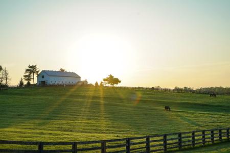 barn cropland daylight